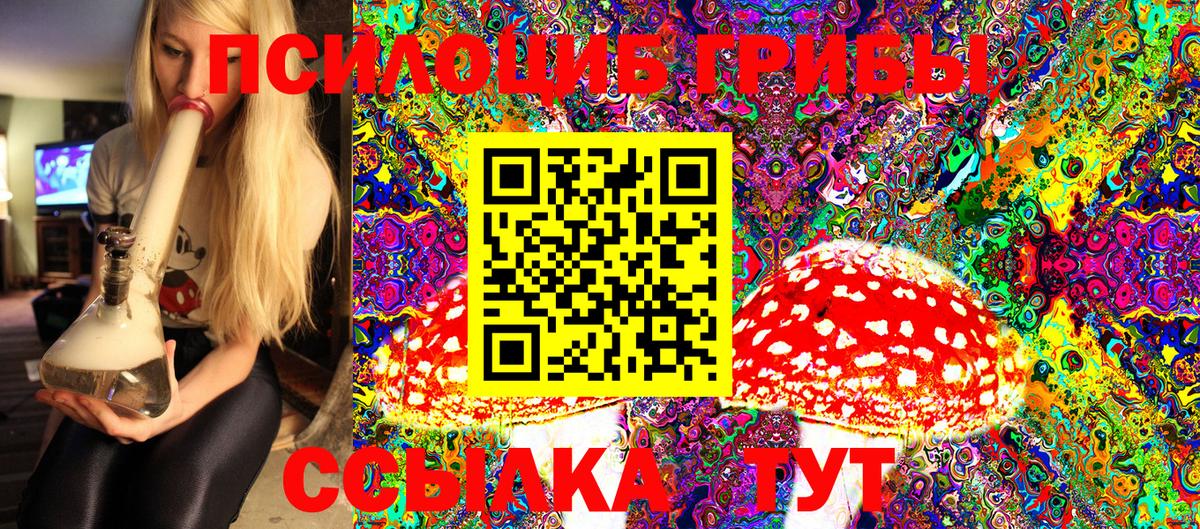 Псилоцибиновые грибы Psilocybine cubensis Новотроицк